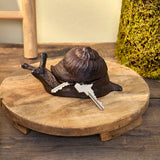 Sheldon the Snail Key Hider