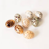 Creature Eggs