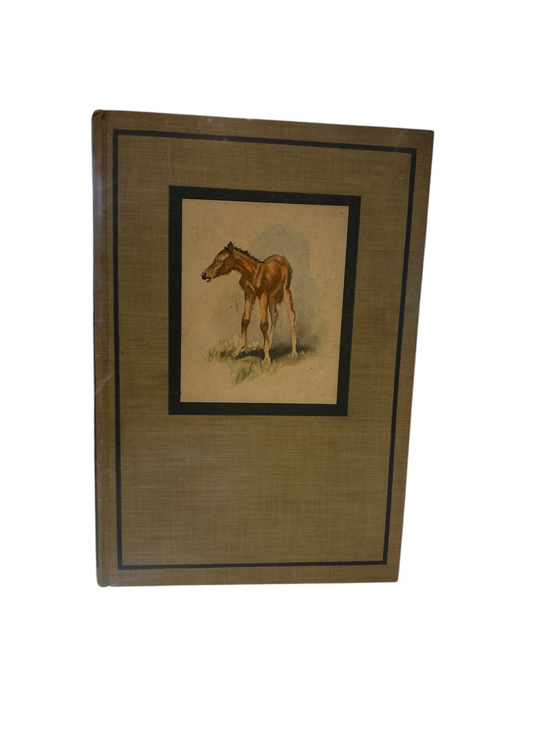 The Red Pony  - 1945 First Illustrated - Steinbeck/Wesley Denis