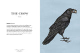 Ornithography by Jessica Roux: Hardcover; 224 pages / English