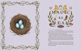 Wheel of the Year by Fiona  Cook: Hardcover; 256 pages / English