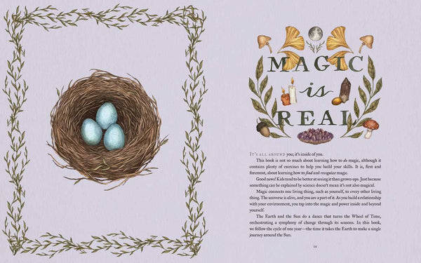 Wheel of the Year by Fiona  Cook: Hardcover; 256 pages / English
