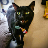 Cat and Dog Collar Bow Tie - Set of 3: Trendy