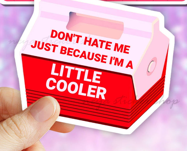 Don't Hate Me Because I'm A Little Cooler Vinyl Sticker