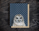 Barred Owl Greeting Card