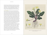 Darwin and the Art of Botany: Hardcover