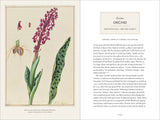 Darwin and the Art of Botany: Hardcover