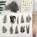 Fern Waterproof Sticker