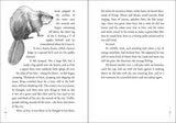 Hatchet by Gary Paulsen: Paperback; 224 pages / English