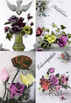 Hand Tinted Vintage Flower Photo Postcards