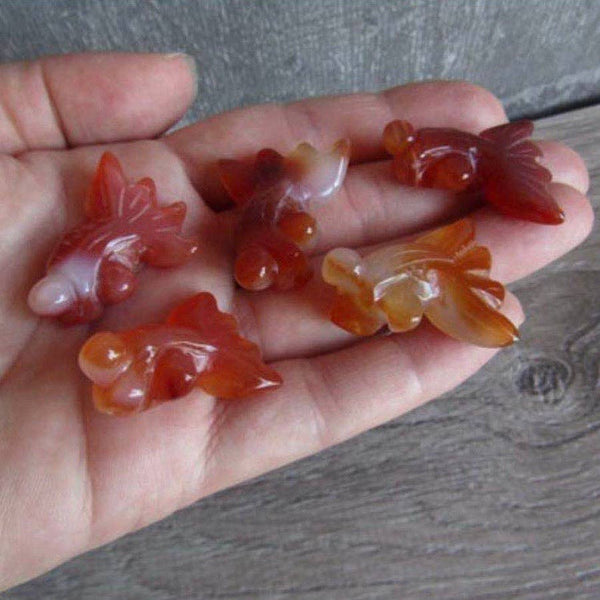Carnelian Goldfish