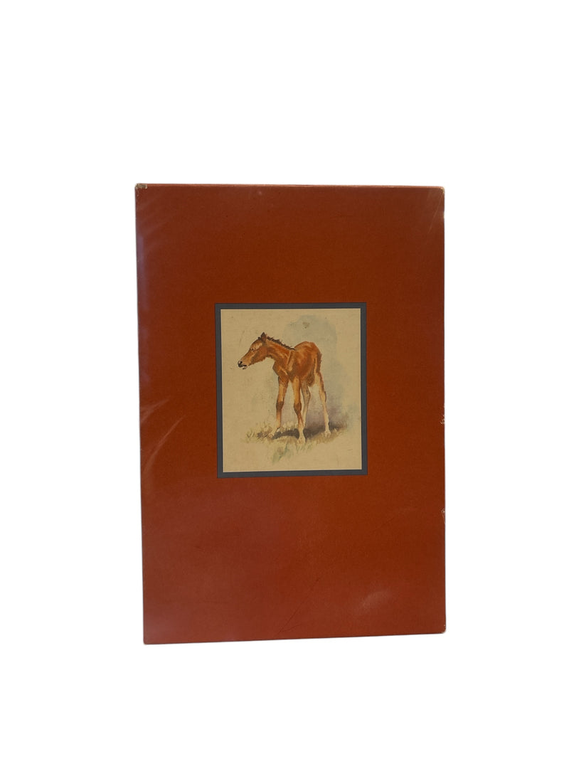 The Red Pony  - 1945 First Illustrated - Steinbeck/Wesley Denis