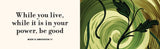 The Illustrated Meditations
