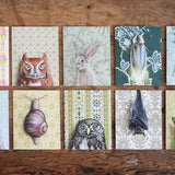 Toadstool Mushroom Greeting Card