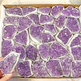 Amethyst Clusters Flat