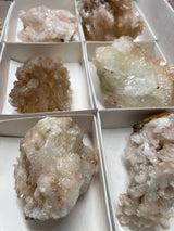 Mapimi Calcite Specimens