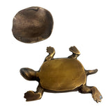 Tina the Turtle Trinket Box