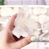Crystal Quartz Cluster