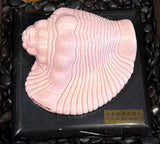 Pink Glazed Conch (Caracol - INAH)