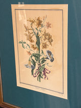 Circa 1800 French Botanical Engraving - Narcissus/Polyanthus