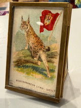 Framed - Tiny Silk - circa 1900 Promo Gift