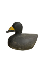 Black Scoter Decoy