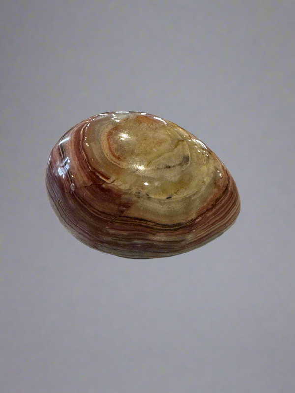 Onyx Egg - 3"