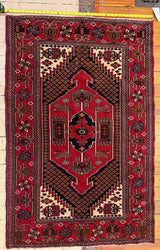 The Diplomat's Doorstep • Persian Hamadan • 36" x 60"