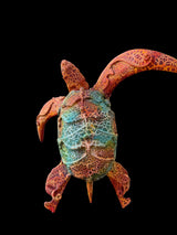 Carey - Mixed Media Sea Turtle Sculpture — Miguel Illescas C., Ecuador, 2012