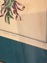 Circa 1800 French Botanical Engraving - Narcissus/Polyanthus
