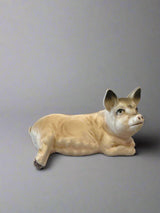 The Menagerie and a Rowboat