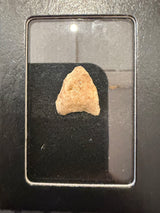 Assorted Arrowheads and Points - Cigar Box Collection / C 1 - 12