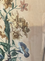Circa 1800 French Botanical Engraving - Narcissus/Polyanthus