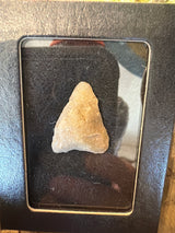 Assorted Arrowheads and Points - Cigar Box Collection / C 1 - 12