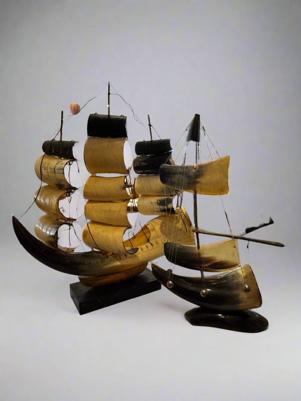 Curious Horn Ships of the Seas