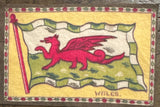 Promotional Flannels by Country - Mini, Loose