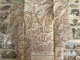 National Geographic Maps 1936-1974