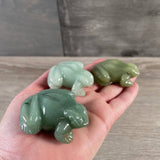 Freddi the Aventurine Frog