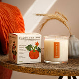 Half Moon Pumpkin - Plant the Box Candle - 9oz.