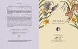 Wheel of the Year by Fiona  Cook: Hardcover; 256 pages / English