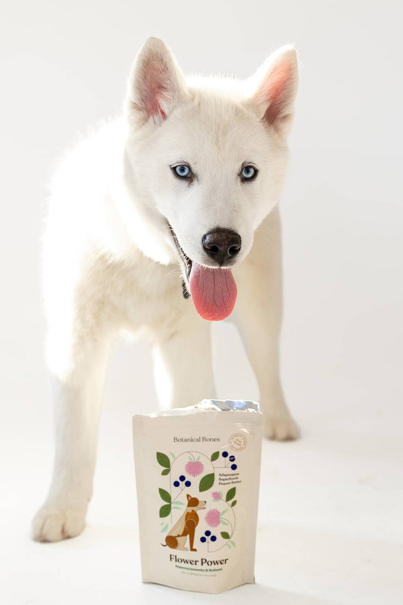 Flower Power Cookies - All Natural, Organic Dog Treats