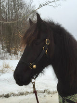 Collar Bell - Black #2