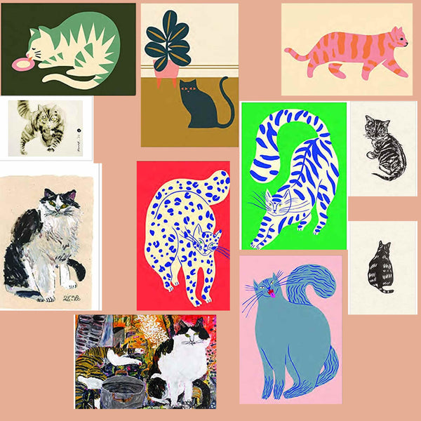 Cat Postcard
