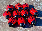 Ladybugs are Lucky