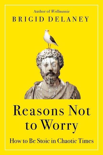 Reasons Not to Worry : Brigid Delaney