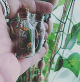 Mushroom Apothecary Jar