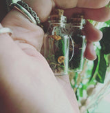 Mushroom Apothecary Jar