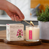 Somerset Thyme - Plant the Box Candle - 9oz.