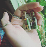 Mushroom Apothecary Jar