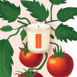 Wild Tomato Vine - Plant the Box Candle - 9oz.